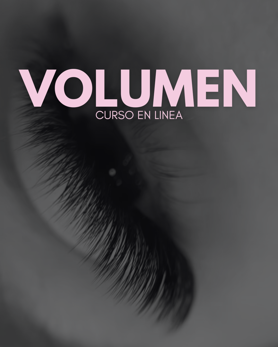 NIVEL 2 💎 LASH ICON